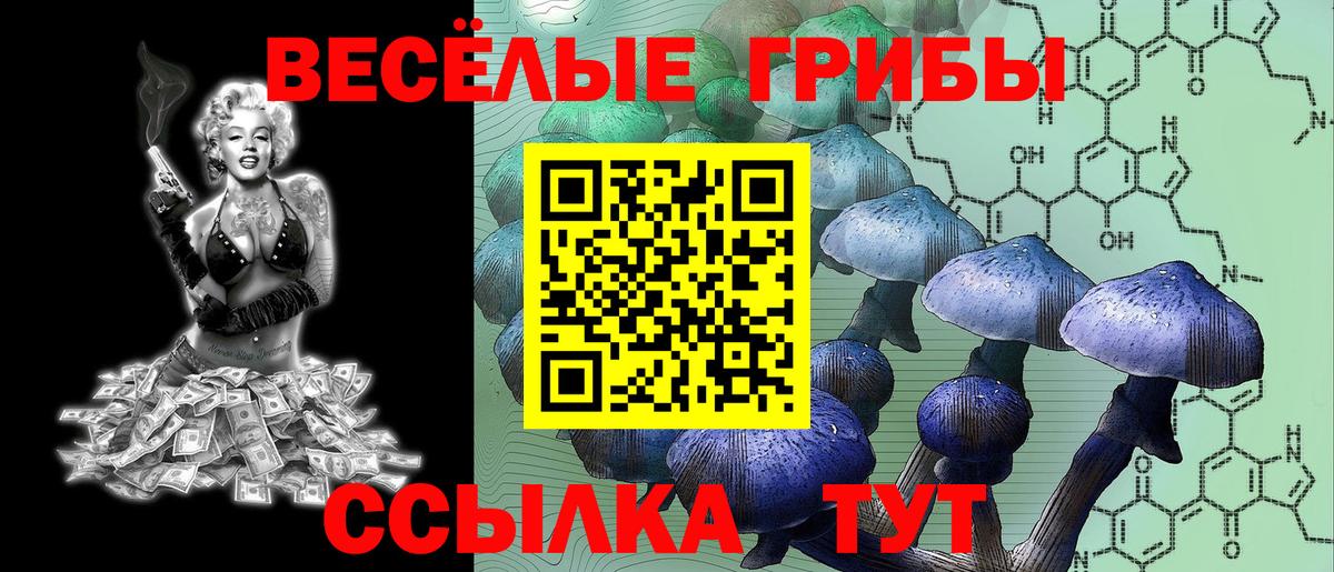 Псилоцибиновые грибы Psilocybe Лесосибирск
