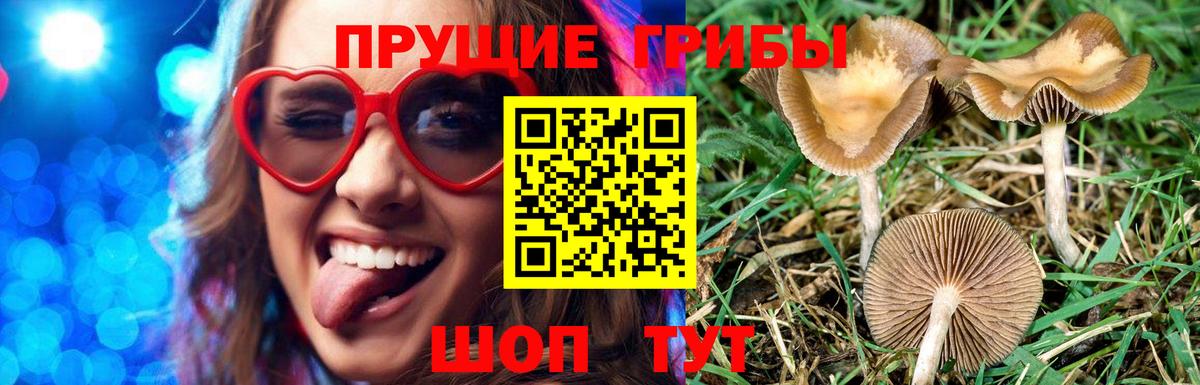 Псилоцибиновые грибы ЛСД  Вход с VPN  Лесосибирск 