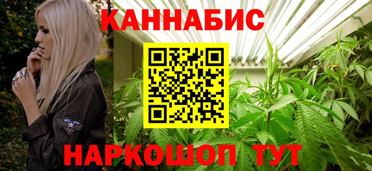 Шишки марихуана план Лесосибирск